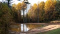 Silent and Restful Pond Nestled Among the Beautiful Tree of Autumn