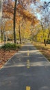 The silent road with yellow leaves in autumn sesion at szeged hungary Royalty Free Stock Photo