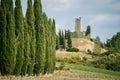 The silent watcher of Romena Castle Royalty Free Stock Photo