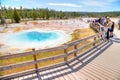 Silex Spring in the Lower Geyser Basin of Yellowstone National Park Royalty Free Stock Photo