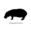 Silhoette hippopotamus, isolated animal wild life vector shape, illustration Royalty Free Stock Photo