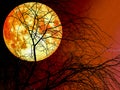 silhouete dead dry tree full blood moon red sky background