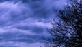 Silhouete of tree branches with dark cloudy sky