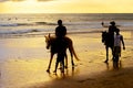 Silhouetes of tourists riding horses on ocean beach at sunset, Bali, Indonesia Royalty Free Stock Photo