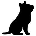 Silhouette of adorable and simple Pitbull sitting in side view