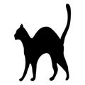 Silhouette afraid cat Royalty Free Stock Photo