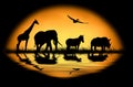 Silhouette african animals on the background of sunset Royalty Free Stock Photo