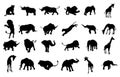 Silhouette African Safari Animal Royalty Free Stock Photo