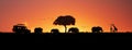 Kenya Africa Sunset Safari Web Banner Royalty Free Stock Photo