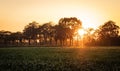 Silhouette of agricultural irrigation system watering cornfield at sunset. Cornfield irrigation using the center pivot sprinkler Royalty Free Stock Photo