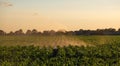 Silhouette of agricultural irrigation system watering cornfield at sunset. Cornfield irrigation using the center pivot sprinkler Royalty Free Stock Photo