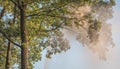 Silhouette of agricultural irrigation system watering cornfield at sunset. Cornfield irrigation using the center pivot sprinkler Royalty Free Stock Photo