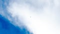 the silhouette of an airplane in the blue-white bottomless sky. an airliner flies overhead