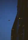 Silhouette of an airplane under the dark sky at night and apartment buildings with turned-on lights Royalty Free Stock Photo