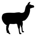 Silhouette alpaca llama lama guanaco black color vector illustration flat style image