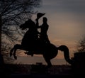 Silhouette Andrew Jackson nashville Royalty Free Stock Photo