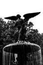 Silhouette of Angel of water statue in Central Park.