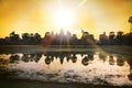 Silhouette of Angkor Wat at sunrise, the best time in the morning at Siem Reap, Cambodia Royalty Free Stock Photo