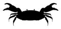 Silhouette of an animal crab vector