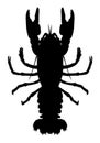 Silhouette of an animal crayfish
