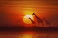 Silhouette Animal and calm river at evening time, giraffe and grass and tree at sunset Royalty Free Stock Photo