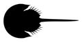 Silhouette of an animal horseshoe crab