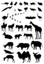 Silhouette animals Royalty Free Stock Photo