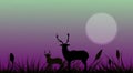 Silhouette of animals. Two deer silhouette standing on a hill with grass. Background of the morning rising sun and fog Royalty Free Stock Photo