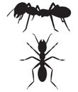 Silhouette ant Royalty Free Stock Photo