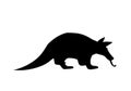 Silhouette of anteater on white background