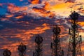 Silhouette of the Antenna of cellular cell phone and communication system tower arranged as a bar chart on cloud and blue sky Royalty Free Stock Photo