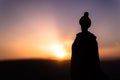 Silhouette of Arab man stands alone in the desert and watching the sunset with clouds of fog. Eastern Fairytale Royalty Free Stock Photo