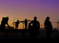 Silhouette of architect looking at blueprints in a building site Royalty Free Stock Photo