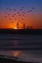 Silhouette of Arthur Ravenel Jr. Bridge Sullivan's USA and the colorful evening sky Royalty Free Stock Photo