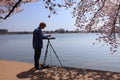 Male Artist Cherry Blossoms Washington DC