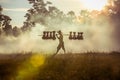 Silhouette of asian farmer Bearing seedlings of rice to plant, Asian farmer Bearing rice seedlings