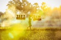 Silhouette of asian farmer Bearing seedlings of rice to plant, Asian farmer Bearing rice seedlings on the paddy field Royalty Free Stock Photo