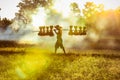 Silhouette of asian farmer Bearing seedlings of rice to plant, Asian farmer Bearing rice seedlings Royalty Free Stock Photo