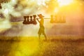 Silhouette of asian farmer Bearing seedlings of rice to plant, Asian farmer Bearing rice seedlings on the back before the grown in Royalty Free Stock Photo