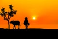 Silhouette Asian farmer raising buffalo at farm