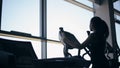 Silhouette of attractive young woman at the gym exercising on the xtrainer machine