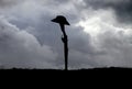 Silhouette of ANZAC rifle and hat