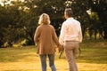 Silhouette back view of caucasian mature couple holding hand spend time together walking relaxing at park in the afternoon autumn Royalty Free Stock Photo