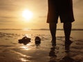 Silhouette back view of young man standing at golden sunset beach with his sandals Royalty Free Stock Photo