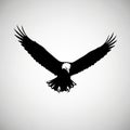 Emphasizes the eagle\'s majestic and powerful presence through stark black Royalty Free Stock Photo