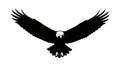 Silhouette of a bald eagle with wings outstretched facing forward Keywords: eagle, bald eagle Royalty Free Stock Photo