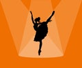 The silhouette of a ballerina in a dance