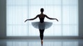 Silhouette of a ballet dancer in a graceful pose against a soft, bright background, showcasing elegance and movement Royalty Free Stock Photo