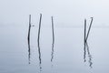 Silhouette of bamboo rods and seagulls on the sea Royalty Free Stock Photo
