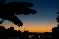 Silhouette of banana plant leaves against sun set sky background Royalty Free Stock Photo